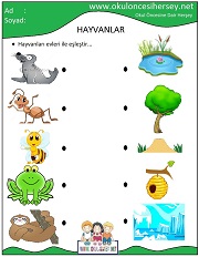 Hayvanları Evleri İle Eşleştir
